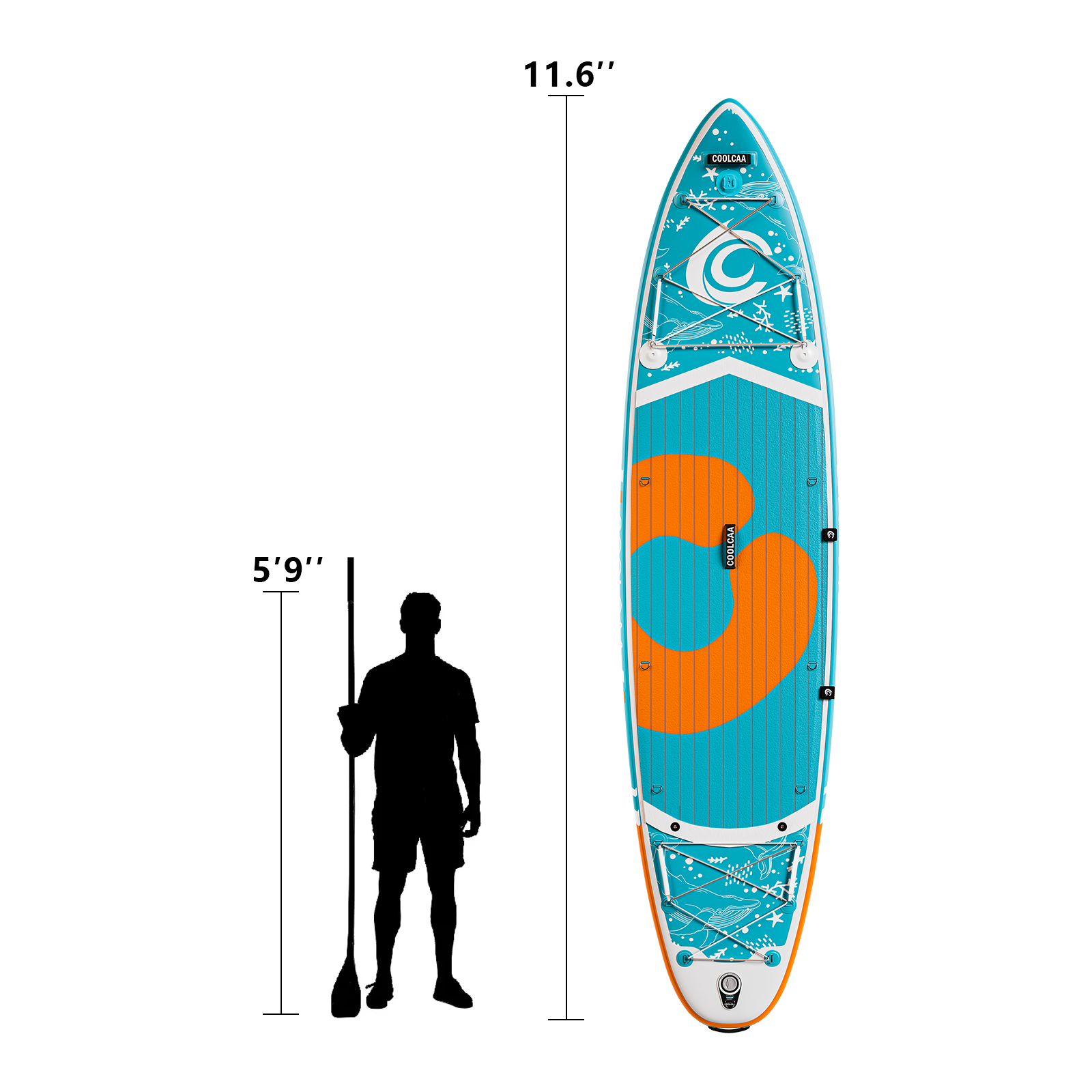 show the length of the paddle board