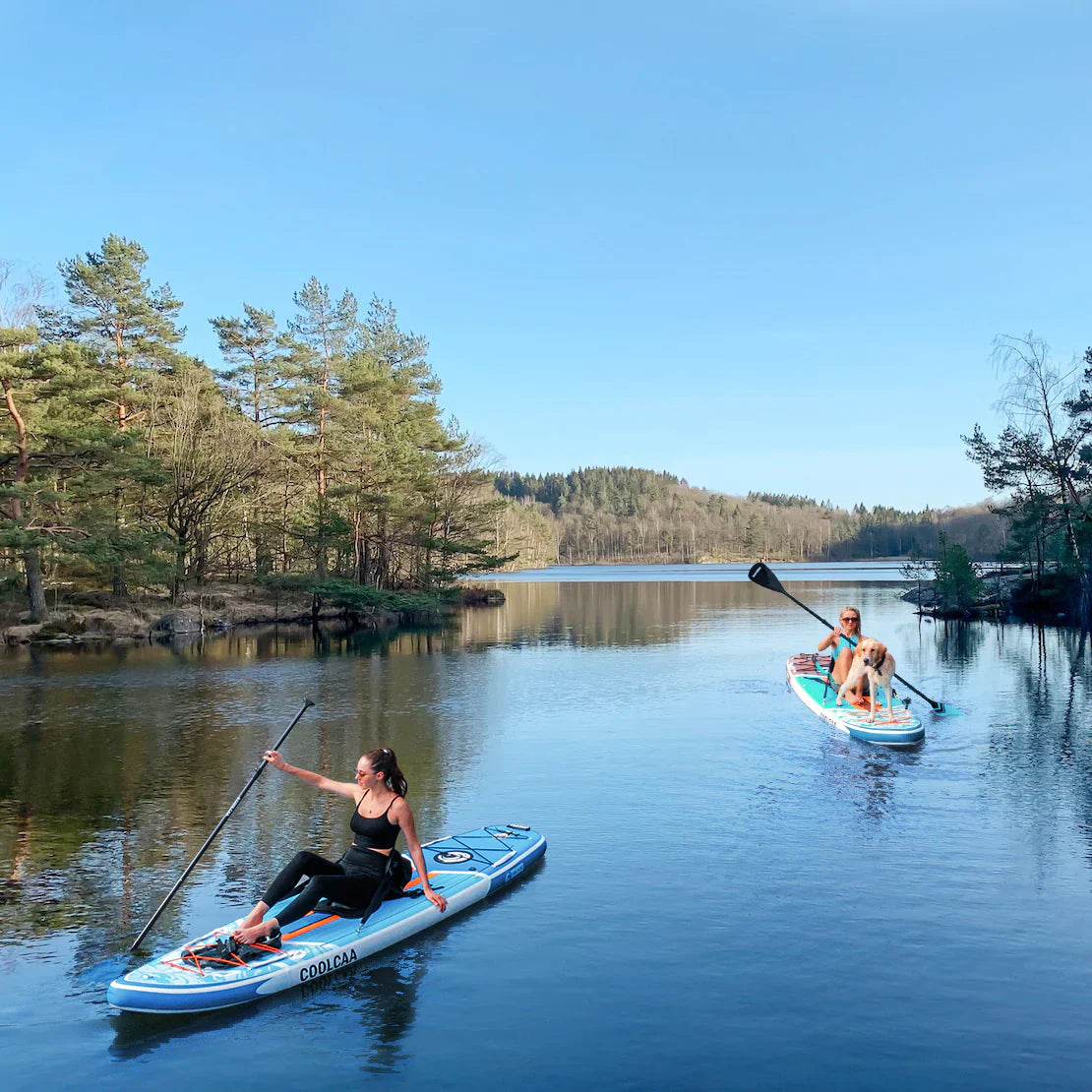 interacting with pets on paddle boards