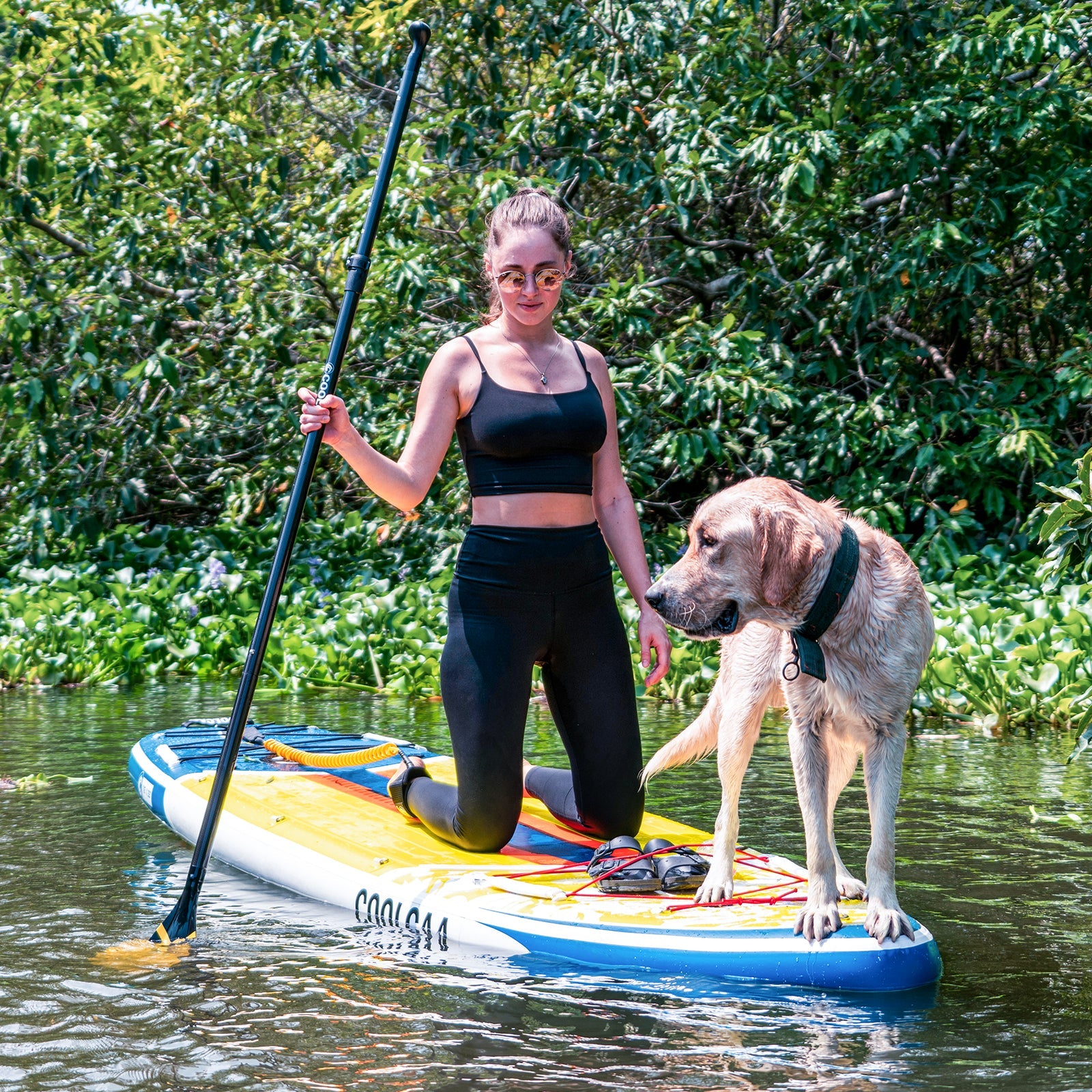 interacting with pets on paddle boards