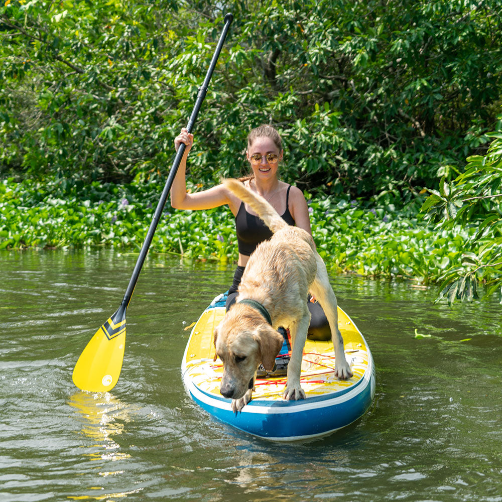 interacting with plush friends on paddle boards